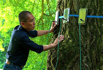 Szenenbild © siehe Verleih